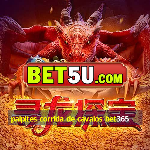 palpites corrida de cavalos bet365